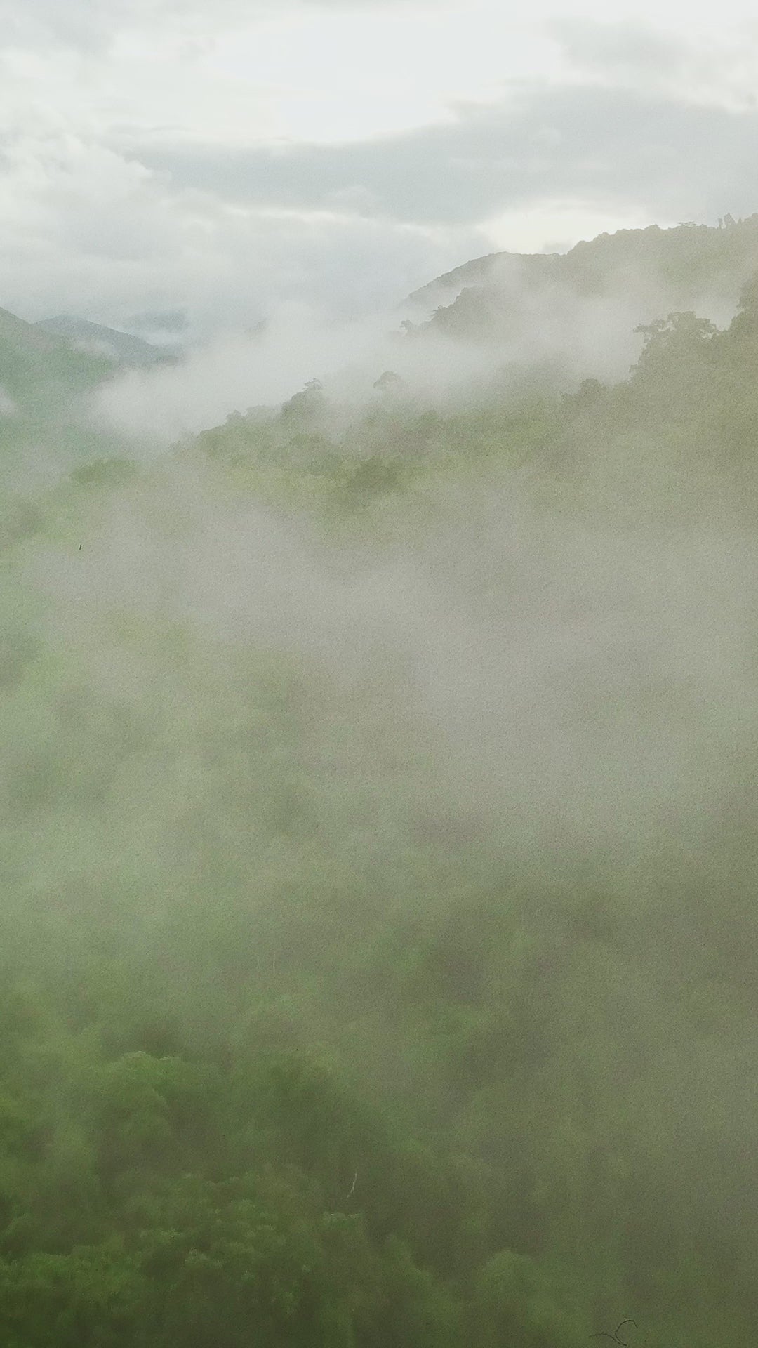 Amazonas Avalanche